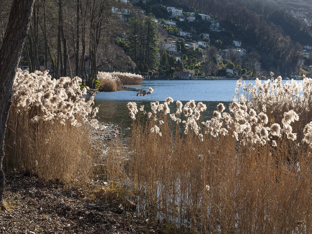 FotoQuiz Dicembre 2021 - Difficile