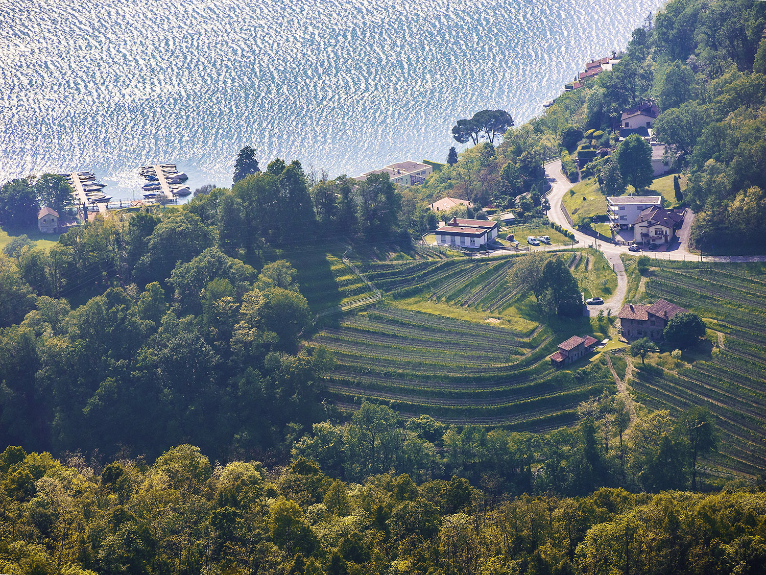 Fotoquiz Marzo 2022 difficile